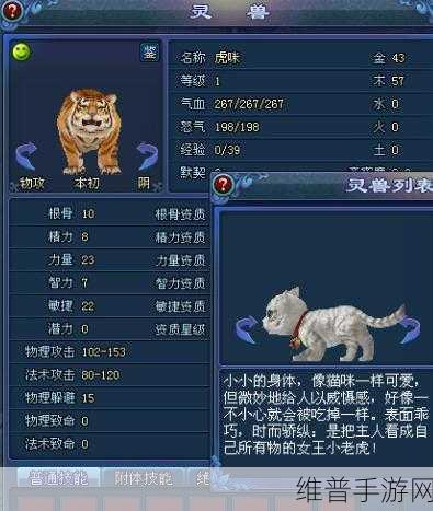 倩女幽魂灵兽技能书：1. 魅影灵兽：倩女幽魂中的神秘伙伴