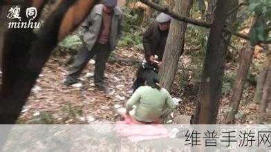 外国老人做交易森林：1. 外国老人与森林：交易背后的生态智慧