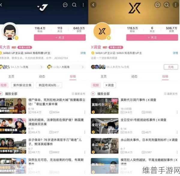 在b站看视频的好处：1. B站视频让你了解更多元的知识与文化