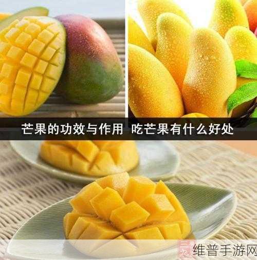 日产精品一线二线三线芒果有什么区别：1. 日产精品芒果的三条产品线深度解析