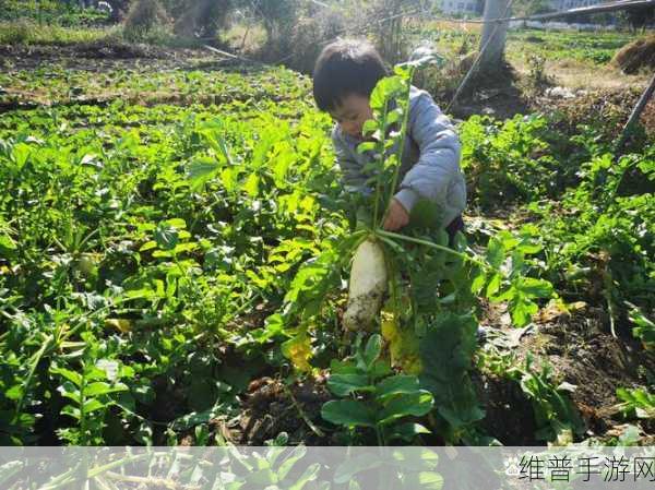 床上拔萝卜不盖被子的好处：1. 床上拔萝卜，享受温暖无束缚的自由