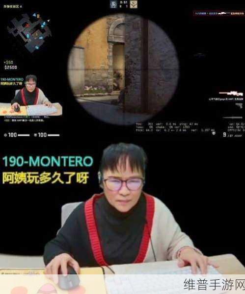 日本CS:GO大姐姐AWP多少钱:1. 日本CS:GO大姐姐AWP价格揭秘:你准备好了吗?