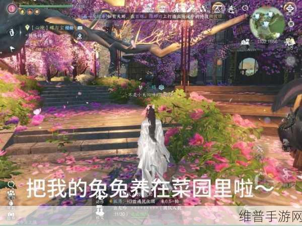 逆水寒手游攻略，寻找丢失的兔子任务详解