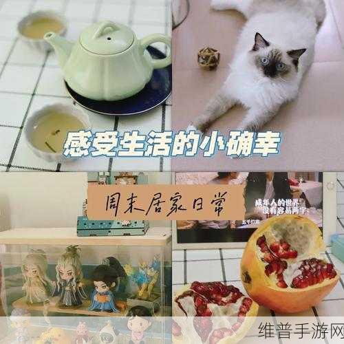 周家日常3pH：1. 周家日常：探寻生活中的小确幸