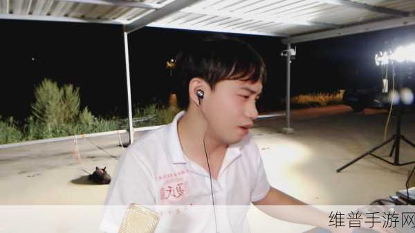 王者荣耀，深度解析与耀扬籍贯探秘