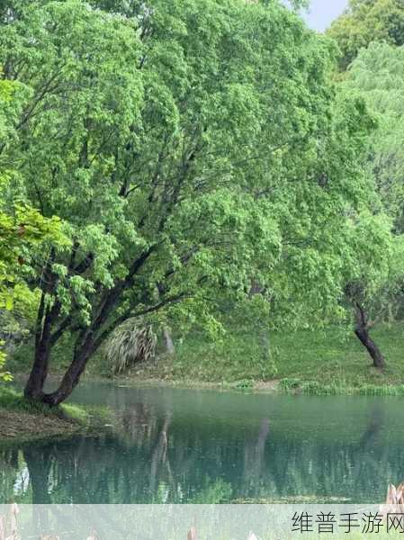手从小腹一路开到丛林处古代：1. 从小腹到丛林：探寻古代秘境的旅程