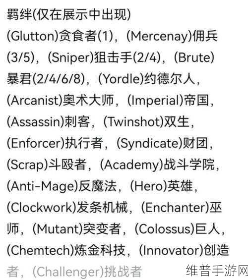 云顶之弈 S5 刺客羁绊的绝佳搭配秘籍