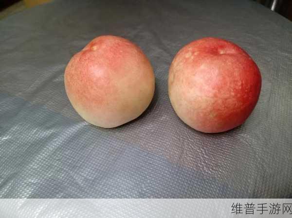 水蜜桃与水蜜桃V2重磅登场：1. 水蜜桃与水蜜桃V2：甜美升级的完美碰撞