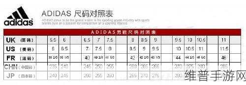三叶草亚洲尺码和欧洲尺码区别:深入解析三叶草亚洲与欧洲尺码差异及选择建议