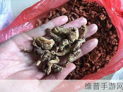 51精产国品一二三产区区金沙：1. 51精产国品：探索一二三产区的金沙魅力