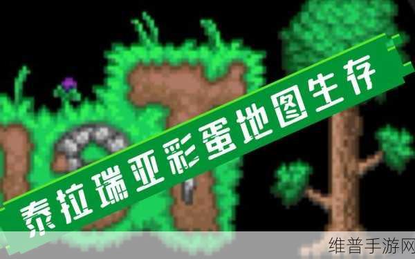 泰拉瑞亚九周年纪念世界彩蛋全揭秘