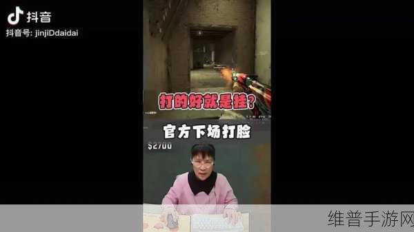 暴躁老阿姨csgo图片展示:1. "暴躁老阿姨的CSGO战斗日常,谁敢惹她!