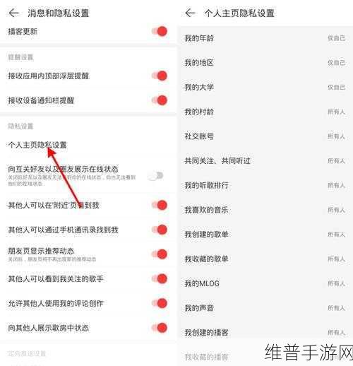 网易云手游攻略，如何巧妙追踪访客足迹