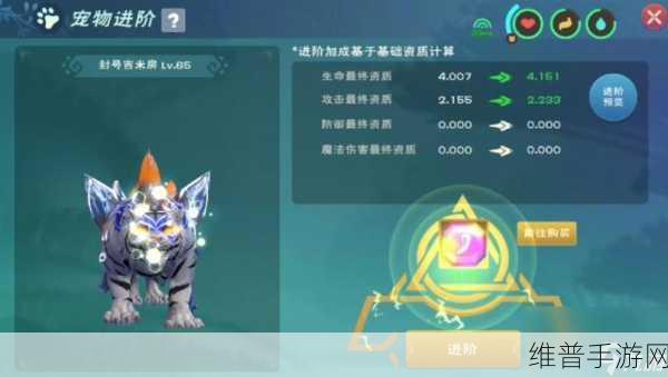 创造与魔法，获取皎晶白虎秘籍大公开