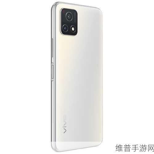 探寻成色好的y31s标准版官网：1. 探索Y31s标准版官网：成色之美尽在其中