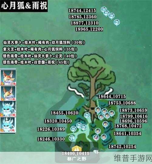 创造与魔法稀有资源大全深度解析
