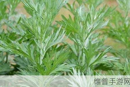 绑定挨草系统后：1. 绑定挨草系统：提升农业效率的新模式