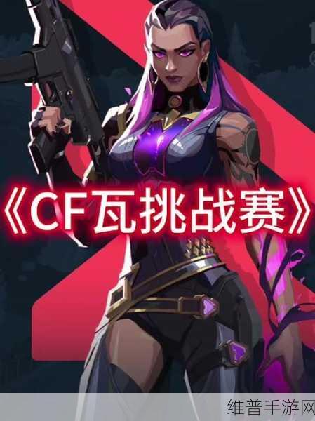 CSGO暴躁小阿姨：1. 暴躁小阿姨在CSGO中挑战极限生存！