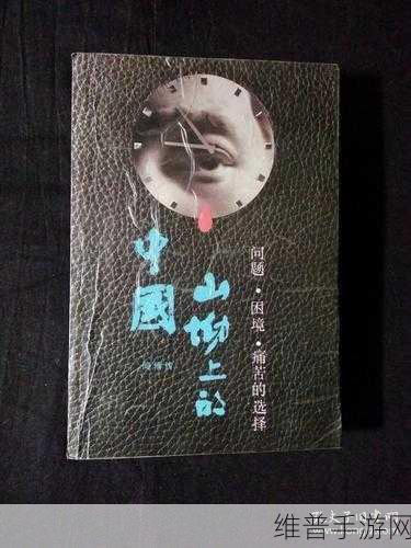 傅夫子俩1V2：傅夫子与弟子的智慧碰撞：一对多的深度交流