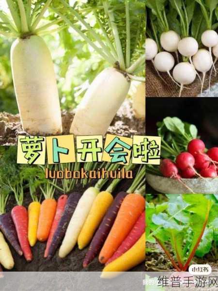 拔萝卜痛又降黄9.1现看处理技巧：1. ＂拔萝卜的疼痛与降黄现象：处理技巧大揭秘