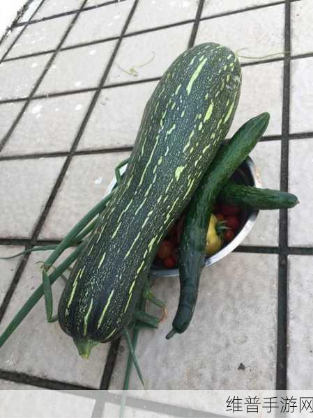 草莓丝瓜榴莲秋葵黄瓜：1. 草莓丝瓜榴莲秋葵，夏日清爽美食推荐