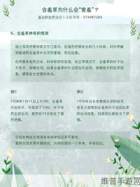 含羞草四叶草三叶草:1. 含羞草的秘密:四叶草与三叶草的奇妙之旅