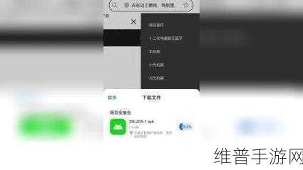 9.1视频极速版最新下载安装教程：1. 如何快速下载安装9.1视频极速版详细教程