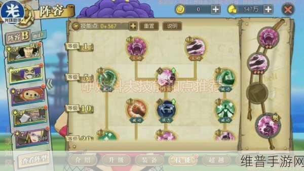 航海王燃烧意志，伊娃科夫技能全解与加点攻略