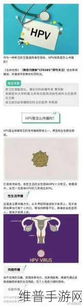 和两个人发生过关系会得hpv吗:1. 性关系与HPV感染的风险:全面解析