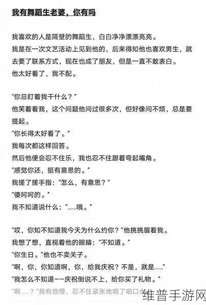 男男高速车文：1. 《极速爱恋：男男之间的公路冒险