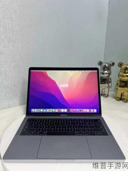16岁日本学生macbookpro反而比影视更受欢迎：日本16岁学生为何更青睐MacBook Pro而非影视娱乐？