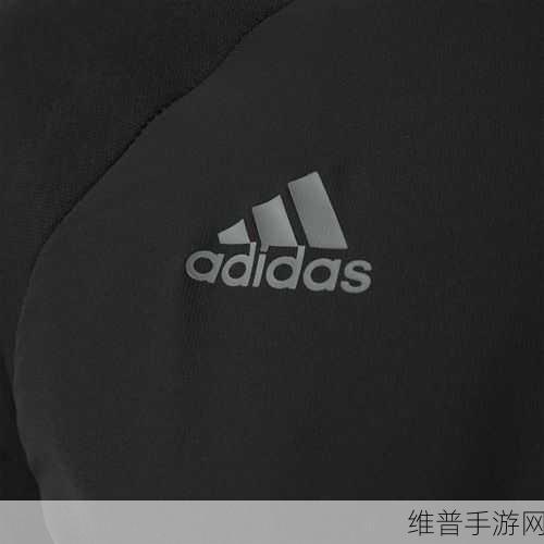三叶草GW9355为何迟不上榜一:三叶草GW9355为何迟迟未能登顶榜单解析与原因分析