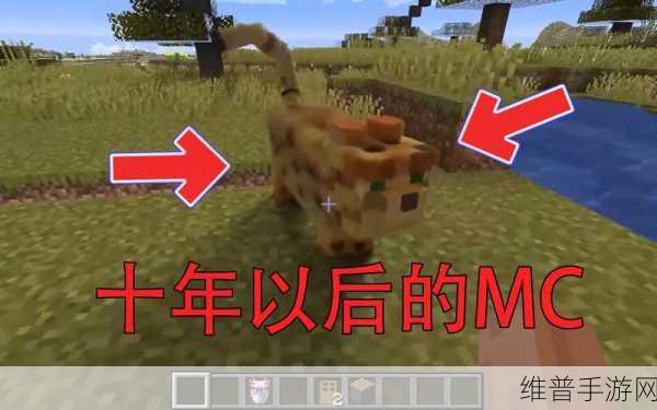 我的世界手游，豹猫驯化秘籍大公开