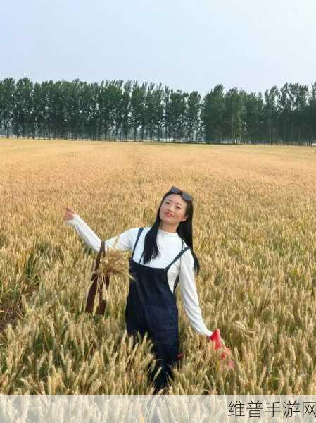 抵押朋友的麦子：1. 抵押朋友的麦子，收获友谊与财富双丰收