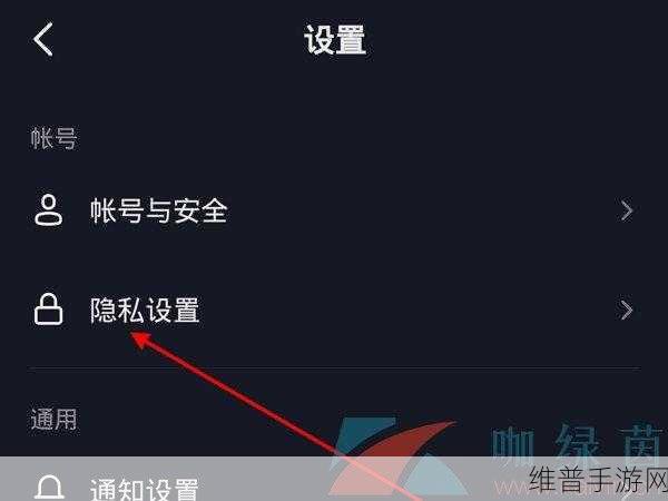 抖音评论隐私设置全攻略，手游公司教你如何保护玩家隐私