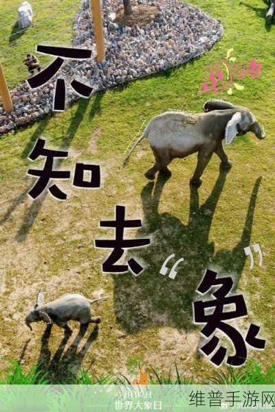 满18点此安全转入2024大象：1. ＂2024大象拓展：满18岁后的安全投资新机遇