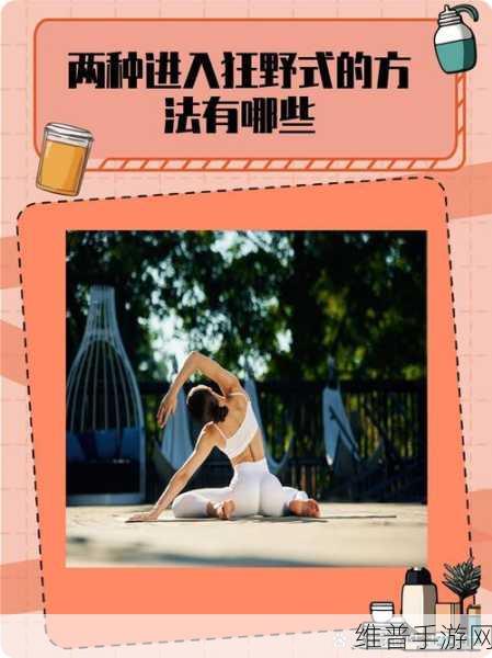两种进入狂野式的方法有哪些：以下是根据两种进入狂野式的方法拓展出的新的标题，字数均不少于10个字：