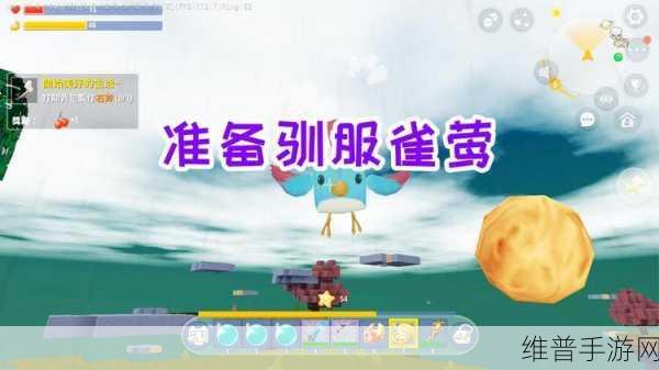 迷你世界雀莺驯服方法大全，轻松掌握驯化技巧，畅享游戏乐趣