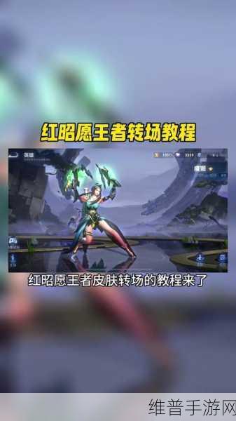 撑起伽罗的腿疯狂输出的视频网站：1. 《撑起伽罗的腿，展现无与伦比的魅力