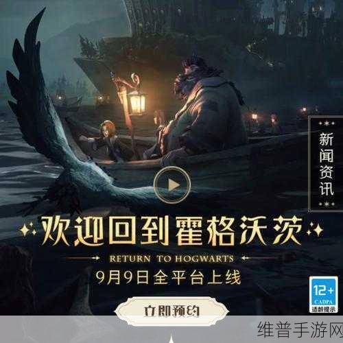 哈利波特魔法觉醒,魔杖选择终极指南