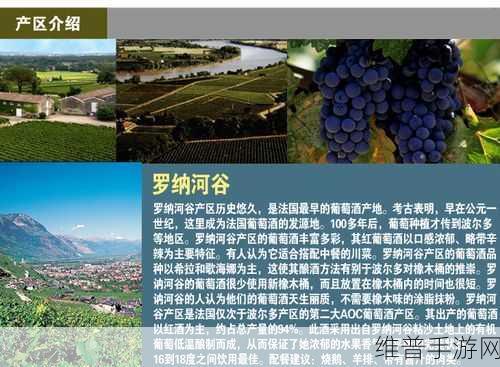 精产国品一二三产区区别在线观看:1. "探索精产国品:一二三产区的独特魅力