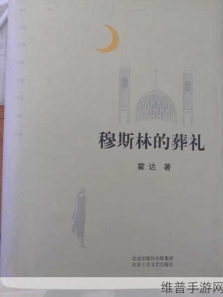 苏念1V3:1. 苏念与命运的抗争:一场心灵之旅