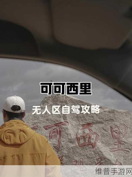 无人区一码二码三码四码多人收藏：1. 无人区探索：一码二码三码四码的奥秘