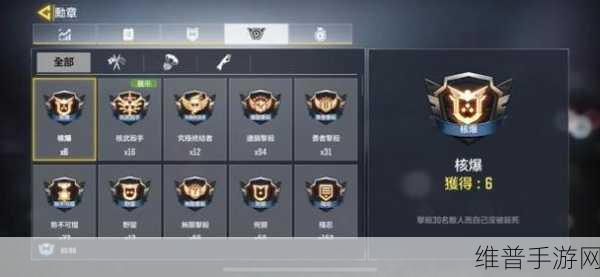 使命召唤手游,使命勋章用法全攻略,个性化战斗装备助你称霸战场!
