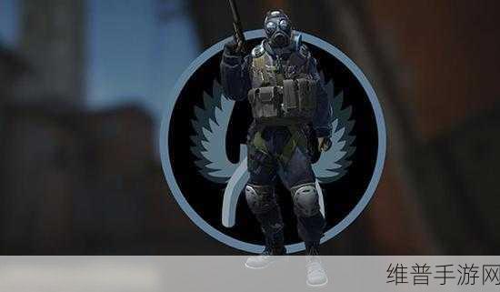 55岁真人实战cs：1. 55岁老将如何在CS中逆袭成功