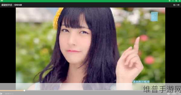 SNH48暴风雨之夜：1. 暴风雨之夜：青春的挣扎与绽放