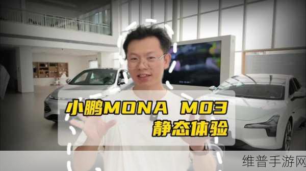 x7x7任意噪入口直达大象：1. 打破噪音束缚：直达大象的奇妙之旅