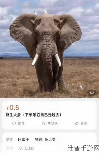 x7x7任意噪入口直达大象:1. 打破噪音束缚:直达大象的奇妙之旅