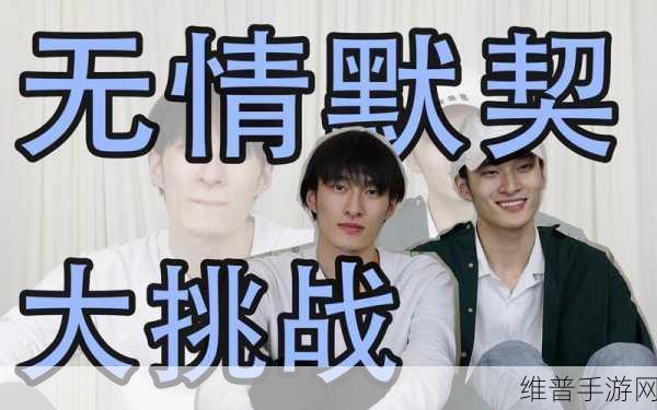 兄弟默契1V2：1. 兄弟默契：一对二的智慧与挑战