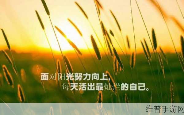 正能量不良网站入口：当然可以！以下是一些基于正能量主题的新标题建议，均超过十个字：